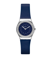 YSS333 montre swatch